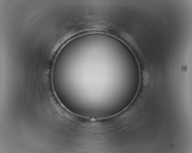 X0000113981260200910021128