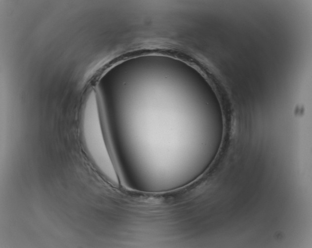 X0000113981261200910021128