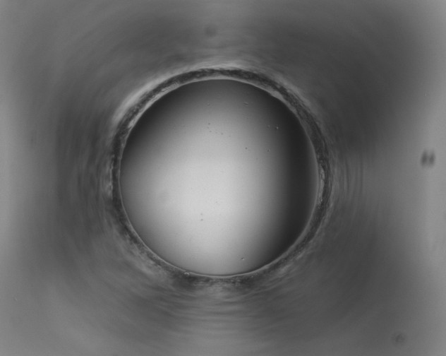 X0000113981262200910021128