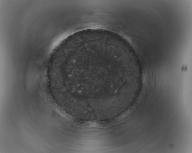 X0000113981263200910021128