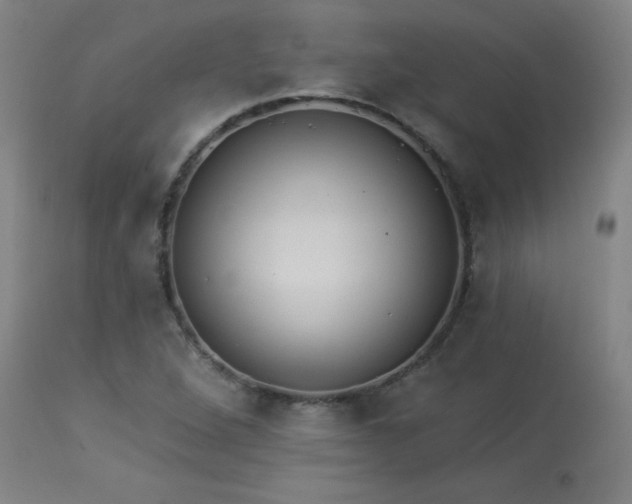 X0000113981264200910021128