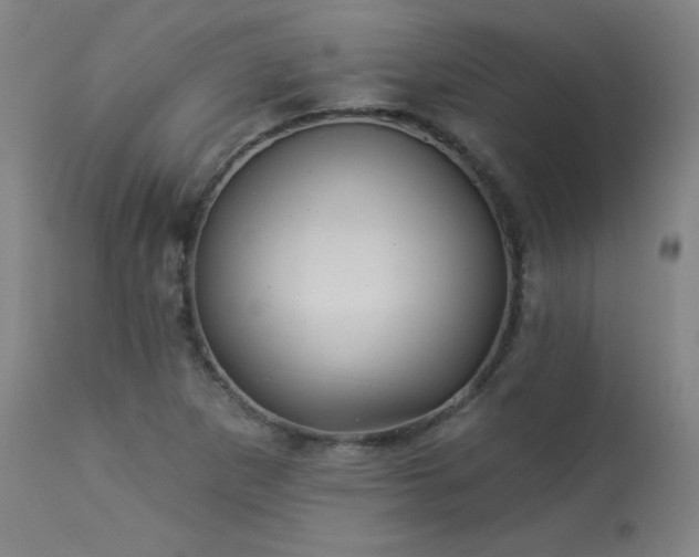 X0000113981265200910021128