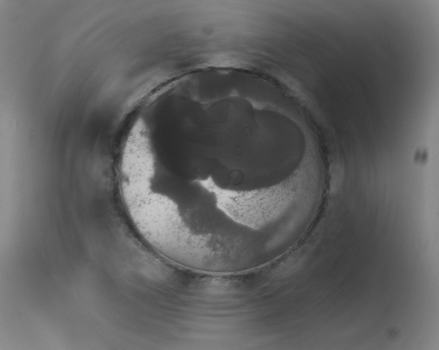 X0000113981266200910021128