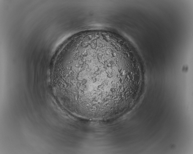 X0000113981267200910021128