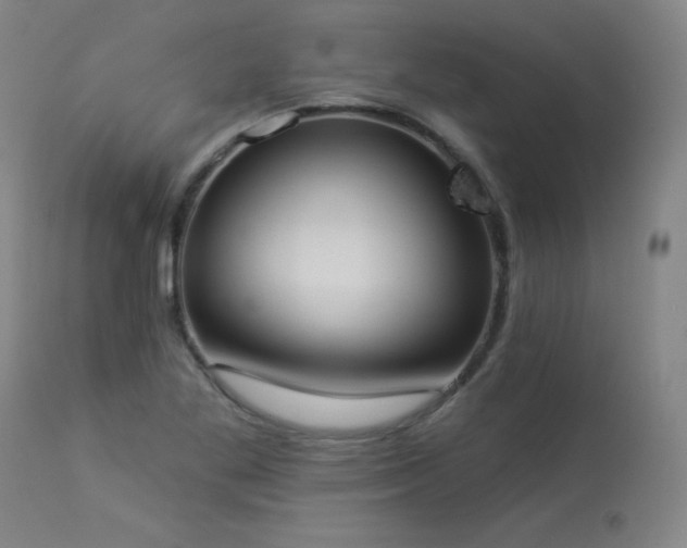 X0000113981269200910021128