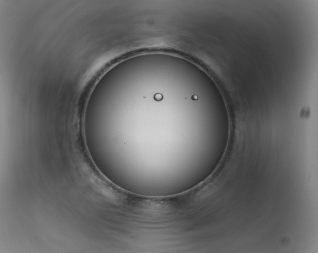 X0000113981270200910021128