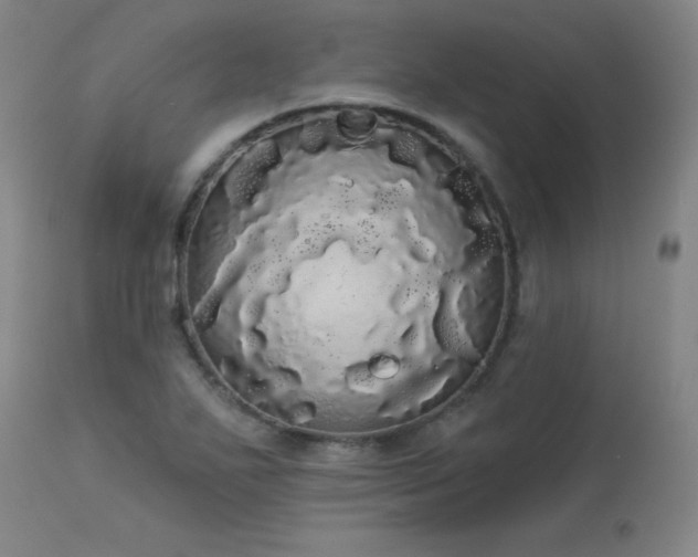 X0000113981271200910021128