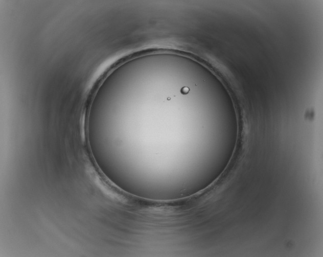 X0000113981272200910021128