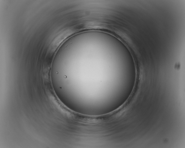 X0000113981273200910021128