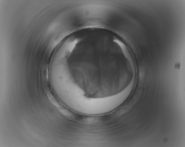 X0000113981274200910021128