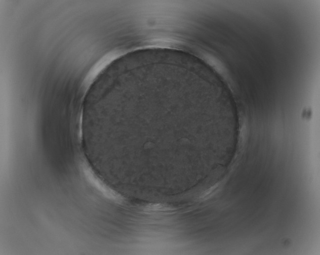 X0000113981275200910021128