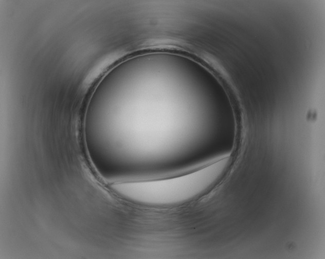 X0000113981277200910021128
