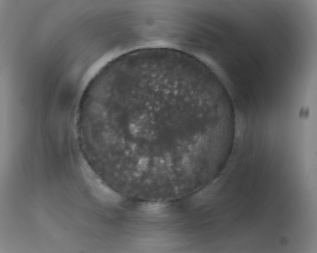 X0000113981278200910021128