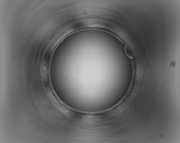 X0000113981281200910021128
