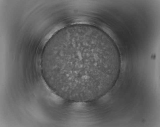 X0000113981282200910021127