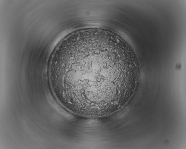 X0000113981283200910021127