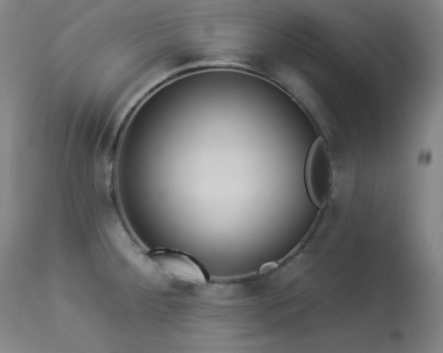 X0000113981284200910021127