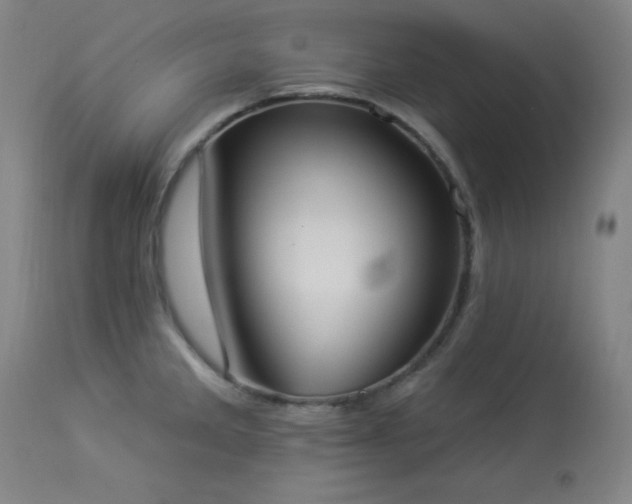 X0000113981285200910021127