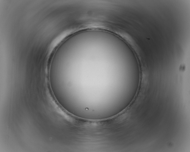 X0000113981286200910021127