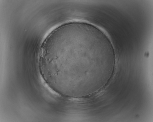 X0000113981287200910021127