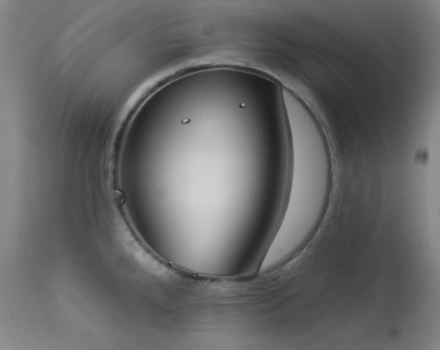 X0000113981288200910021127