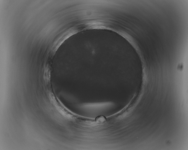 X0000113981289200910021127