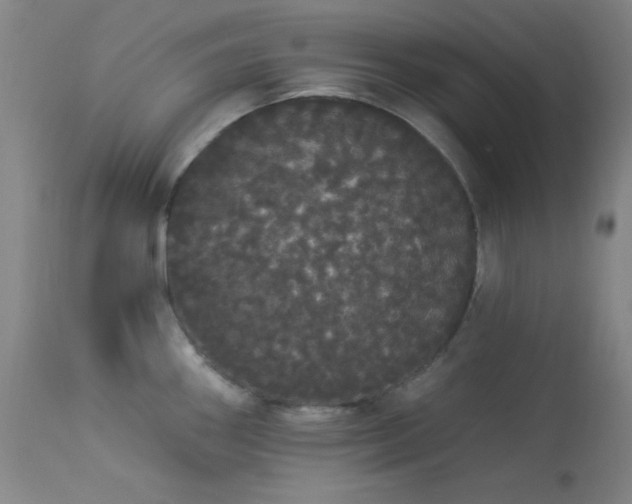 X0000113981290200910021127