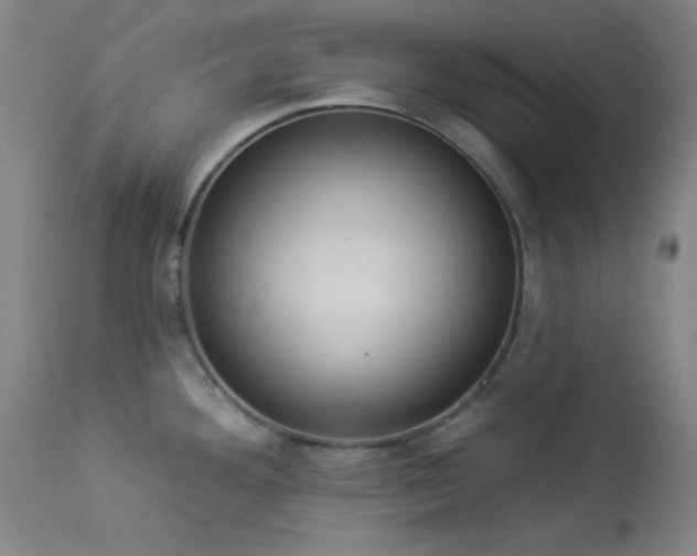 X0000113981292200910021127