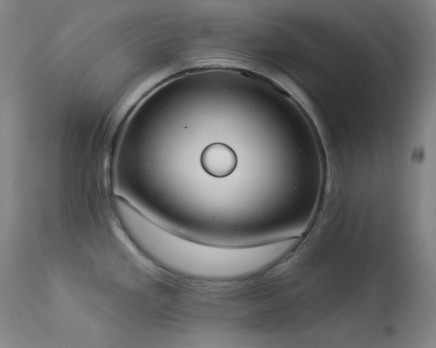 X0000113981293200910021127