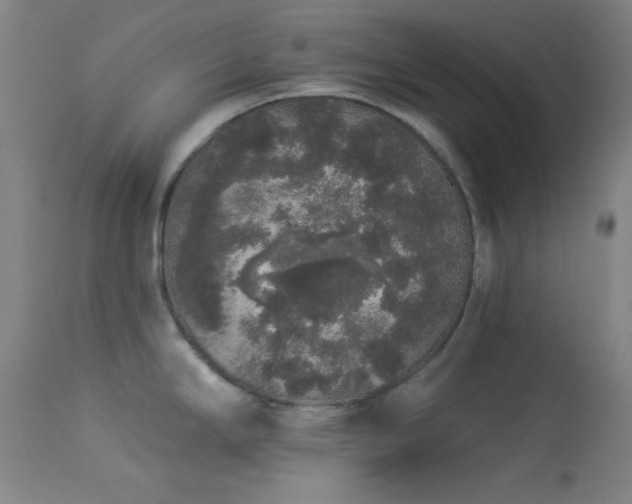 X0000113981294200910021127