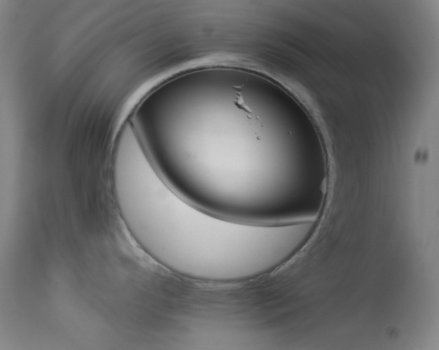 X0000113981296200910021127