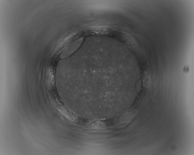 X0000113981298200910021126