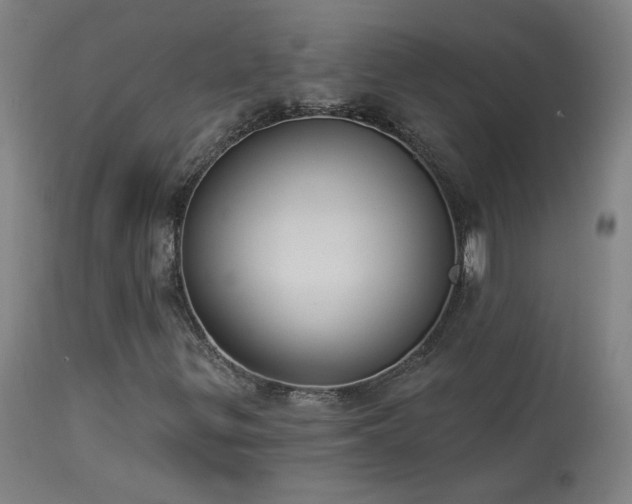 X0000113981299200910021127
