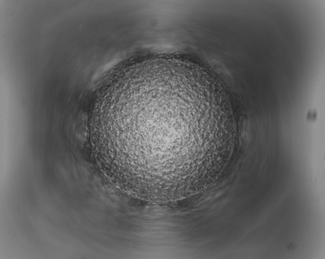 X0000113981301200910021127