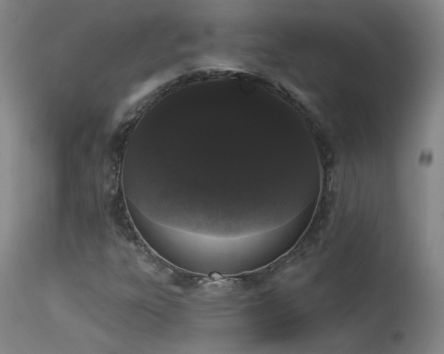 X0000113981303200910021127