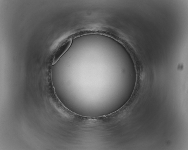 X0000113981304200910021127