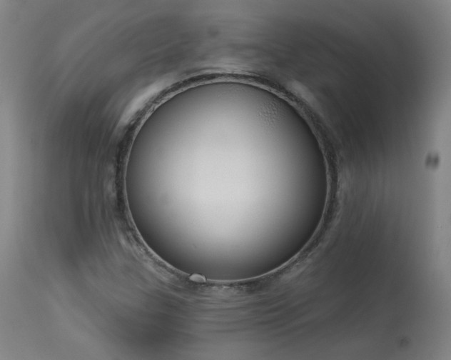 X0000113981307200910021127