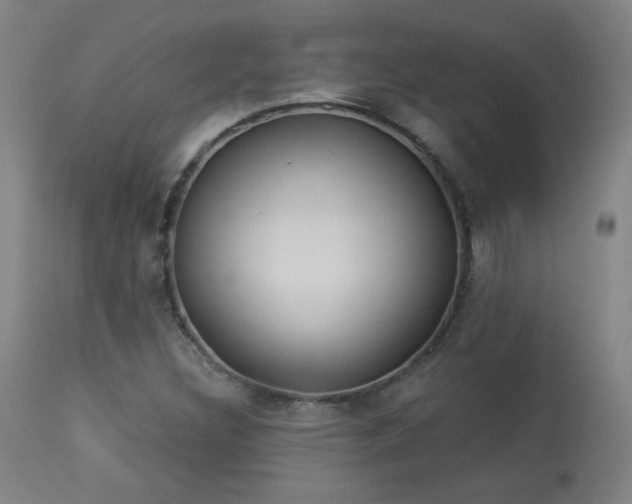 X0000113981308200910021127