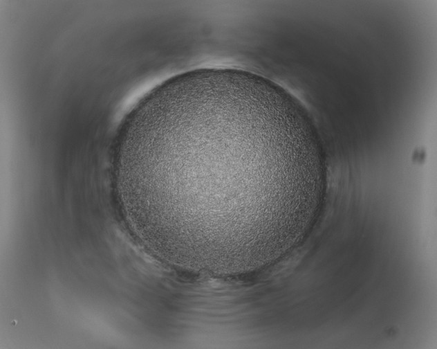 X0000113981311200910021127