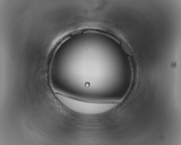 X0000113981312200910021127