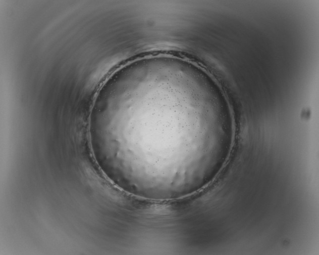 X0000113981313200910021127