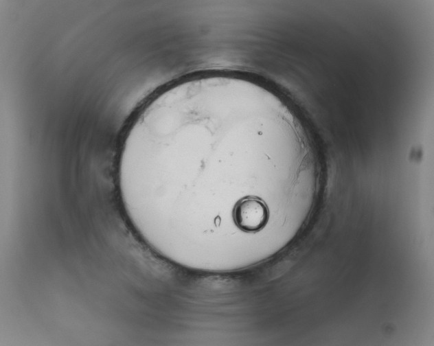 X0000113981314200910021127