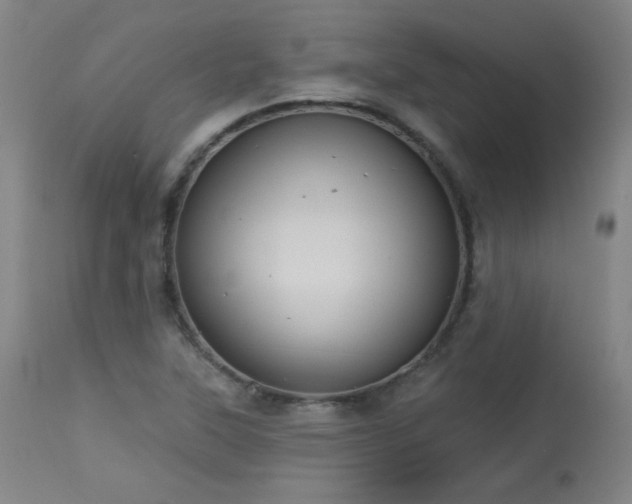 X0000113981315200910021127
