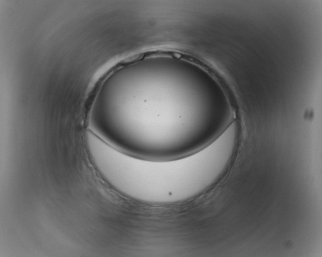 X0000113981316200910021127