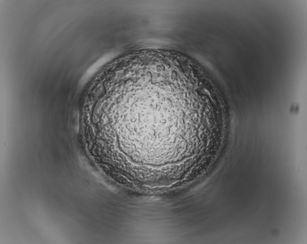 X0000113981317200910021127