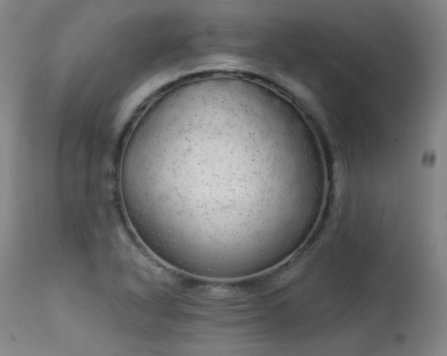 X0000113981318200910021127