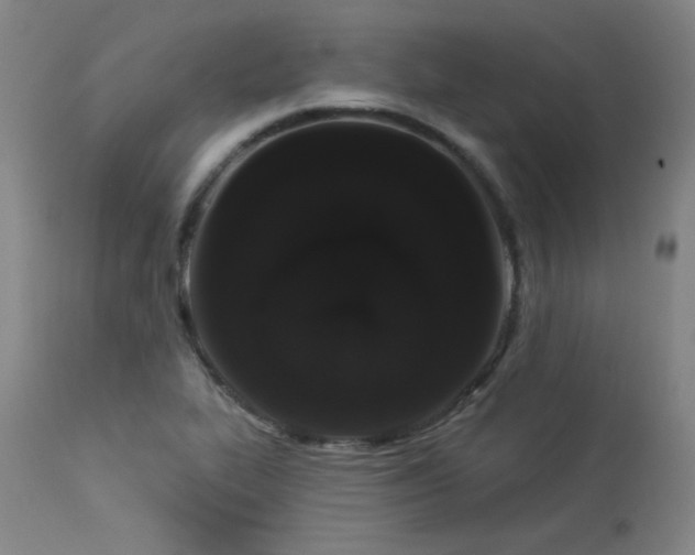 X0000113981319200910021127