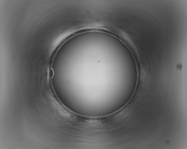 X0000113981320200910021127