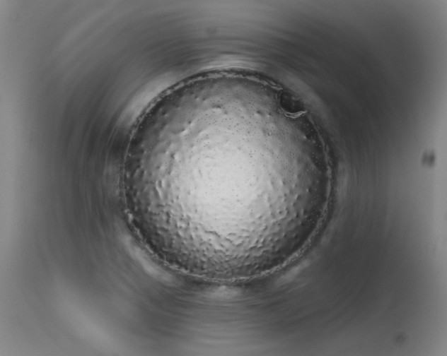 X0000113981321200910021127