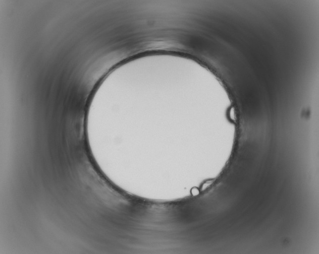 X0000113981322200910021127